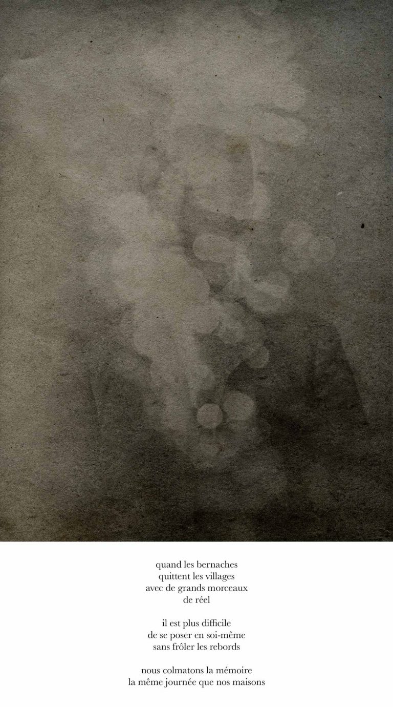 Alessandra_Calo_France_Cayouette_Les_Voix_2